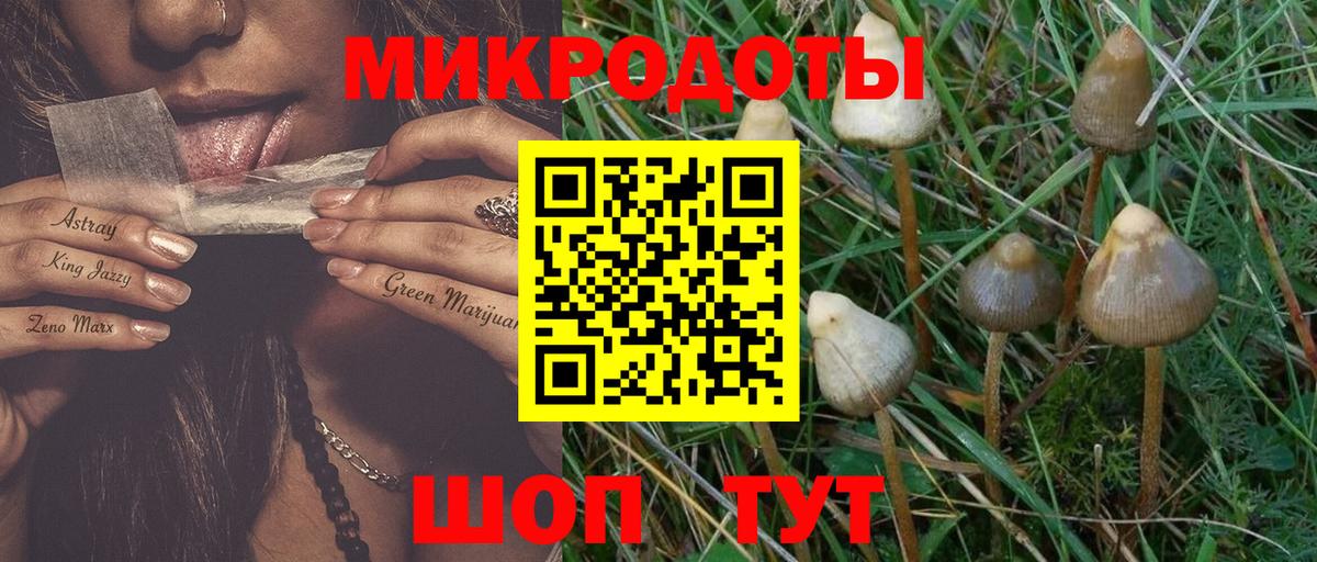 Псилоцибиновые грибы Cubensis  Вход с VPN  Псилоцибиновые грибы MAGIC MUSHROOMS  Отрадное 